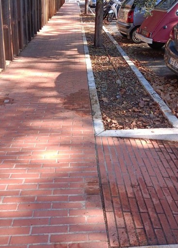 Ventimiglia: lavori per la pulizia e la manutenzione nel parcheggio in zona Funtanin (Foto) Ventimiglia: lavori per la pulizia e la manutenzione nel parcheggio in zona Funtanin (Foto)