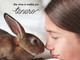 Domani a Sanremo in via Matteotti la petizione della Lav per riconoscere i conigli come animali familiari