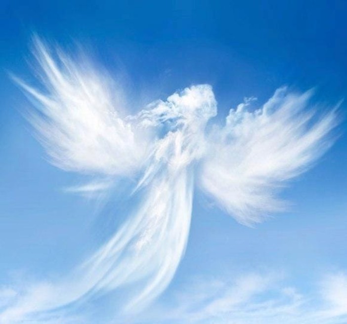 Ventimiglia: il ricordo di Chiara la giovanissima appassionata di danza che non ce l'ha fatta Ventimiglia: il ricordo di Chiara la giovanissima appassionata di danza che non ce l'ha fatta