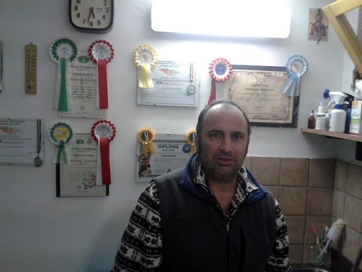 Arma: l'allevatore di ornitologia Leonardo Mannino si aggiudica il secondo al campionato italiano di Pesaro Arma: l'allevatore di ornitologia Leonardo Mannino si aggiudica il secondo al campionato italiano di Pesaro