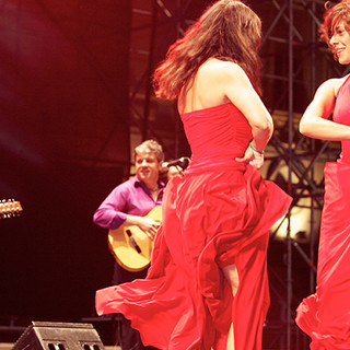 Foto di 'La paranza del geco' Foto di 'La paranza del geco'