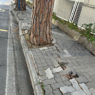 Sanremo: affidato il progetto per i marciapiedi di via Padre Semeria e la direzione lavori della bretella tra via Frantoi e Canai e l’Aurelia Sanremo: affidato il progetto per i marciapiedi di via Padre Semeria e la direzione lavori della bretella tra via Frantoi e Canai e l’Aurelia