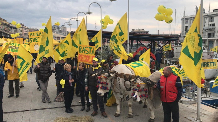 100 milioni di danni all'agricoltura per maltempo e ponte 'Morandi': Coldiretti scende in piazza a Genova