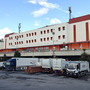 Sanremo, crisantemi in arrivo per la ricorrenza dei defunti: produzione ridotta, ma il prodotto è di qualità Sanremo, crisantemi in arrivo per la ricorrenza dei defunti: produzione ridotta, ma il prodotto è di qualità