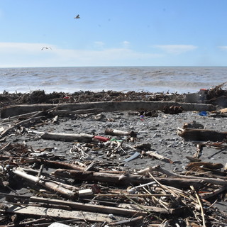 Bordighera: legno e materiali vari sulle spiagge, ordinanza di divieto di accesso agli arenili Bordighera: legno e materiali vari sulle spiagge, ordinanza di divieto di accesso agli arenili