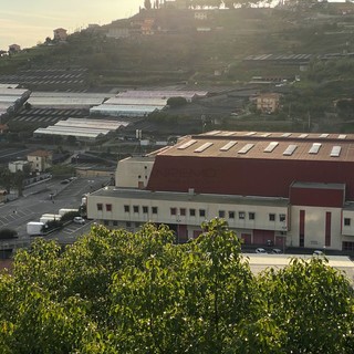 Il Mercato dei Fiori di valle Armea Il Mercato dei Fiori di valle Armea