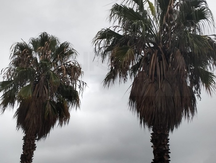Maltempo: confermata l'allerta gialla per temporali nel levante, colpito marginalmente il ponente Maltempo: confermata l'allerta gialla per temporali nel levante, colpito marginalmente il ponente