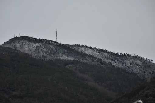 La neve questa mattina a Monte Bignone La neve questa mattina a Monte Bignone