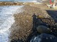 Sanremo: nuovi danni per la mareggiata alle spiagge della Foce, la Confartigianato al fianco dei balneari