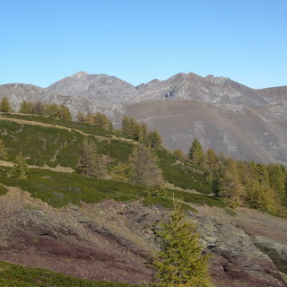 Ritardi nei finanziamenti Psr: gli allevatori dell’imperiese sono sconcertati