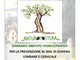 Imperia: sabato pomeriggio al Museo dell’Olivo seminario sulla prevenzione dei dolori cervicali Imperia: sabato pomeriggio al Museo dell’Olivo seminario sulla prevenzione dei dolori cervicali