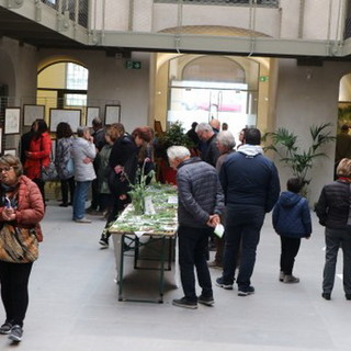 Sanremo: ‘La forza della natura’, grande successo per gli eventi dedicati a Libereso Guglielmi
