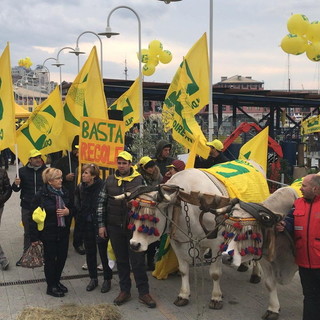 100 milioni di danni all'agricoltura per maltempo e ponte 'Morandi': Coldiretti scende in piazza a Genova 100 milioni di danni all'agricoltura per maltempo e ponte 'Morandi': Coldiretti scende in piazza a Genova