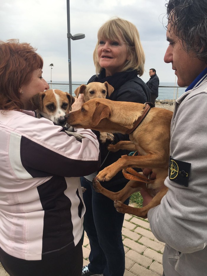 Ospedaletti: tre dei 108 cani di Camporosso si sono incontrati ieri durante la manifestazione dell'Enpa Ospedaletti: tre dei 108 cani di Camporosso si sono incontrati ieri durante la manifestazione dell'Enpa