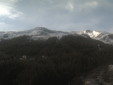 Monesi