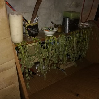 Sanremo: blitz dei Carabinieri nel cuore della Pigna, trovata una serra di marijuana allestita in cantina