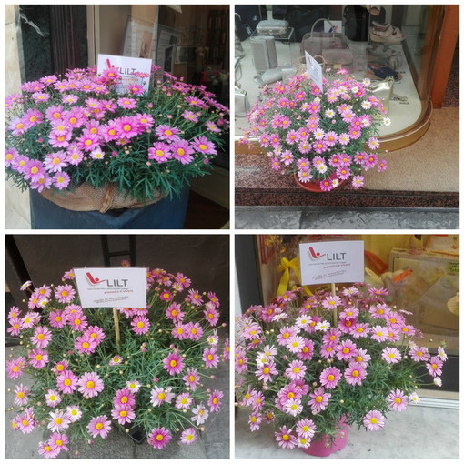 ‘Io m’amo’: da sabato prossimo la Settimana Nazionale per la Prevenzione Oncologica Lilt