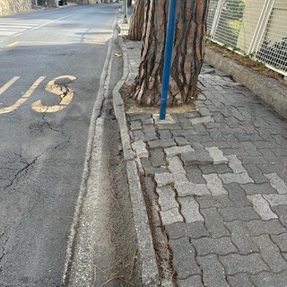 Consiglio comunale di Sanremo, interpellanza su via Padre Semeria. Donzella: "Lavori momnetaneamente sospesi dalla sovintendenza, presto ripartiranno"