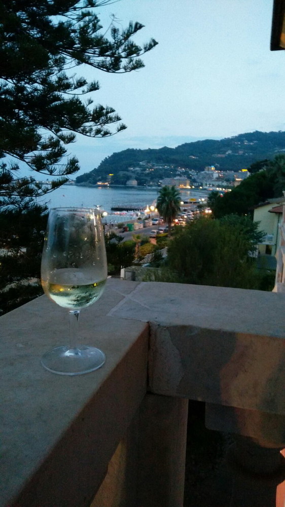 Diano Marina: a rischio la convenzione tra il Comune e l'Istituto Internazionale degli  Studi Liguri per la gestione del Museo. Basso: "Questione di bilancio. L'alternativa la gestione in house"