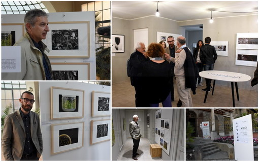 Sanremo: il verde e la fotografia, un connubio perfetto per la mostra 'Viridi' che scatta domani (Foto e Video)