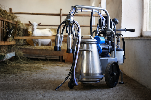 Mungitrice a carrello: come sceglierla per specie e capi
