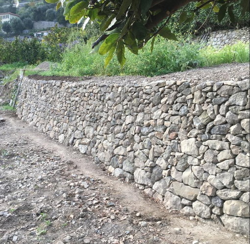 Ventimiglia: con l'associazione 'Terre di Grimaldi' dal 9 ottobre al via i corsi per fare i muretti a secco Ventimiglia: con l'associazione 'Terre di Grimaldi' dal 9 ottobre al via i corsi per fare i muretti a secco