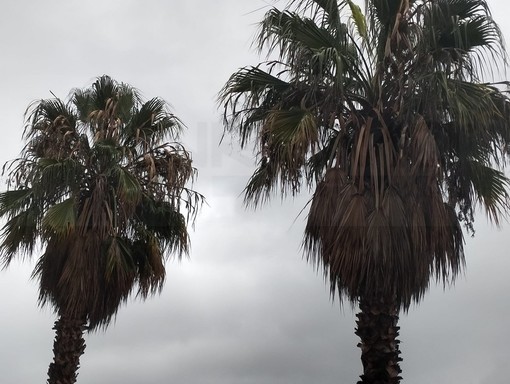 Maltempo: confermata l'allerta gialla per temporali nel levante, colpito marginalmente il ponente Maltempo: confermata l'allerta gialla per temporali nel levante, colpito marginalmente il ponente