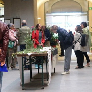 Libereso Guglielmi: la Forza della Natura. Disegni, appunti, scritti, ricette e consigli del Giardiniere di Calvino Libereso Guglielmi: la Forza della Natura. Disegni, appunti, scritti, ricette e consigli del Giardiniere di Calvino