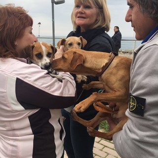 Ospedaletti: tre dei 108 cani di Camporosso si sono incontrati ieri durante la manifestazione dell'Enpa