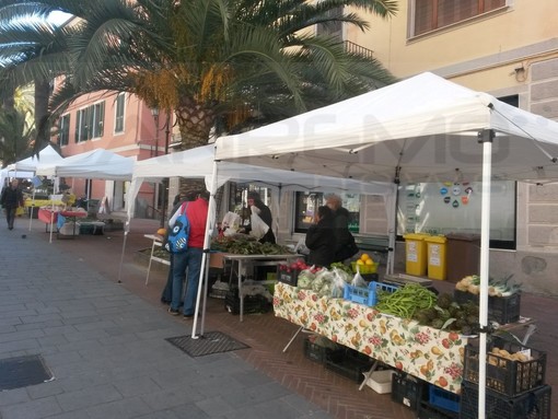 Imperia: torna anche quest'anno promosso dall'Assessorato al Commercio 'Gli orti di Imperia' Imperia: torna anche quest'anno promosso dall'Assessorato al Commercio 'Gli orti di Imperia'