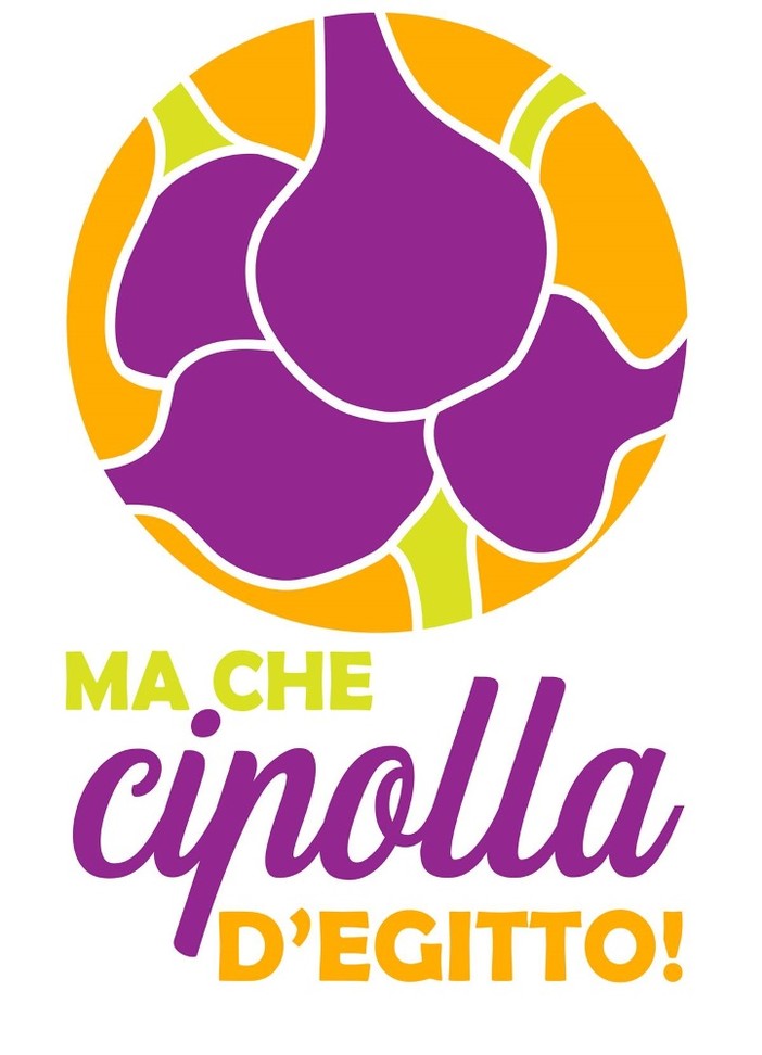 Cipolla? meglio se Egiziana! Con 42 iscritti è partito il contest nazionale dedicato a questo antico bulbo del Ponente Ligure, Cipolla? meglio se Egiziana! Con 42 iscritti è partito il contest nazionale dedicato a questo antico bulbo del Ponente Ligure,