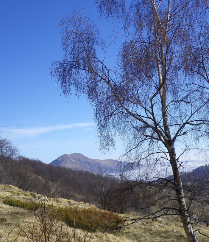 Domenica 28 aprile 'Attraverso le Alpi Liguri' con l'escursione ad anello del Monte Armetta Domenica 28 aprile 'Attraverso le Alpi Liguri' con l'escursione ad anello del Monte Armetta