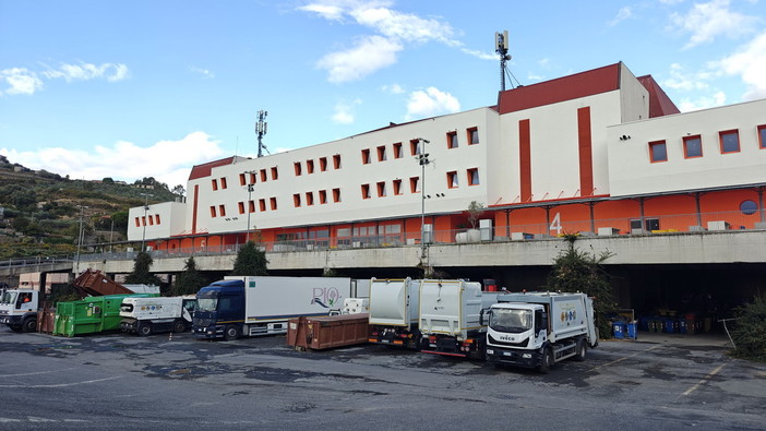 Sanremo, crisantemi in arrivo per la ricorrenza dei defunti: produzione ridotta, ma il prodotto è di qualità Sanremo, crisantemi in arrivo per la ricorrenza dei defunti: produzione ridotta, ma il prodotto è di qualità