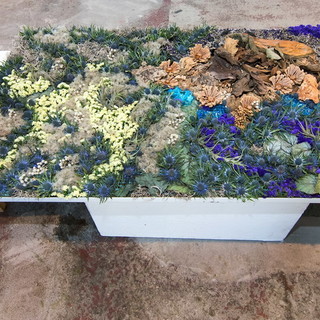 Tra gli eventi collaterali alle Vele d'Epoca spicca il 9° concorso internazionale di decorazione floreale ‘Città di Imperia-Vele d'Epoca’