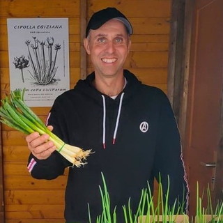 Sabato prossimo una 'diretta' sui social per la cipolla egiziana: un incontro sulla biodiversità con Marco Damele