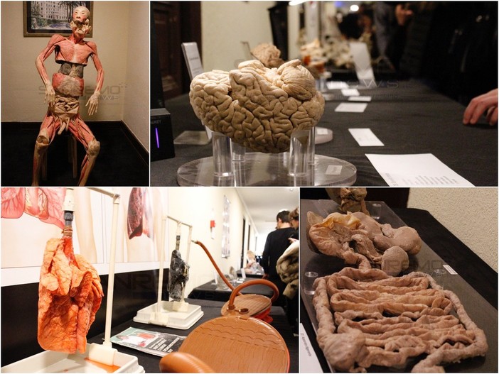 Le immagini della mostra Le immagini della mostra