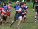 Minirugby: i risultati del quarta edizione del Trofeo del Miele al 'Gino Macciò' di Masone
