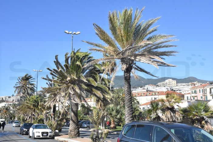Venti di burrasca sulla Liguria: raffiche fino a 103 km/h nel savonese, mare agitato e attenuazione da stasera