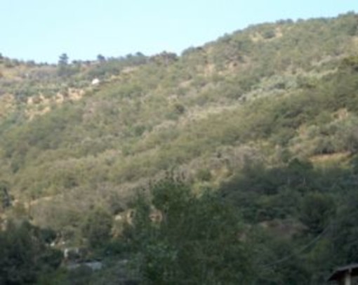 Per il ciclo 'Attraverso le Alpi Liguri', domenica prossima si svolge l'escursione 'L’anello de la Forna'