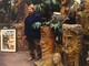 "Marcello Cammi. Alla ricerca del Giardino lncantato" sbarca a Vallecrosia al Mare (Foto) "Marcello Cammi. Alla ricerca del Giardino lncantato" sbarca a Vallecrosia al Mare (Foto)