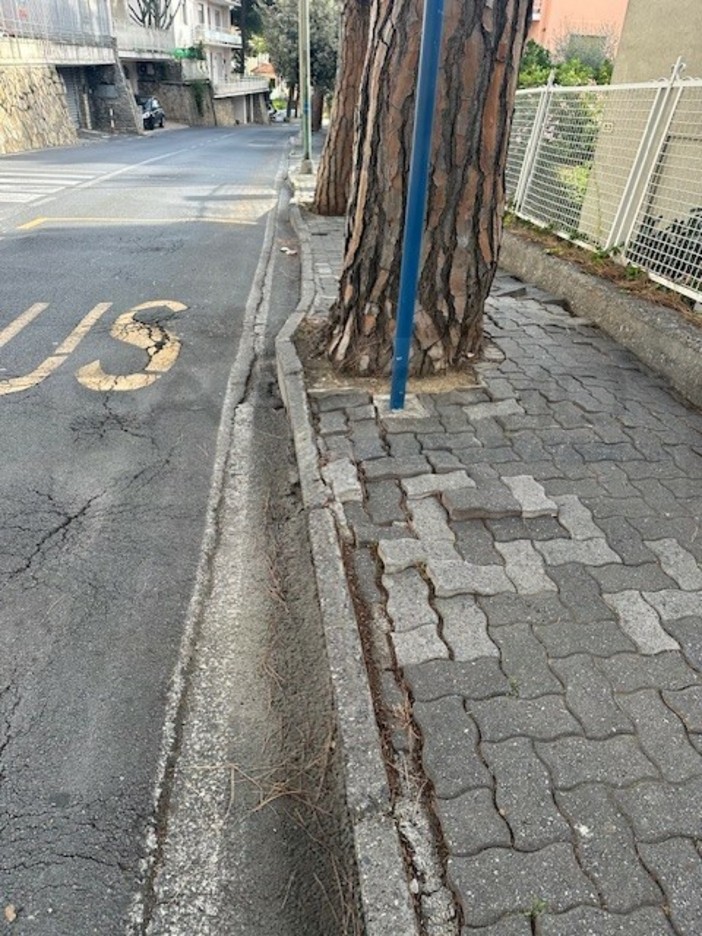 Consiglio comunale di Sanremo, interpellanza su via Padre Semeria. Donzella: "Lavori momnetaneamente sospesi dalla sovintendenza, presto ripartiranno"