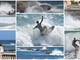 Forte mareggiata di Libeccio: surfisti in massa ai 'Tre Ponti' e nessun danno sulla costa e ai porti (Foto)