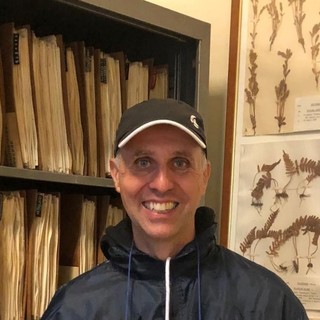 Bajardo: l'erbario storico di Marco Damele in mostra domenica per 'Natale da Fiaba'