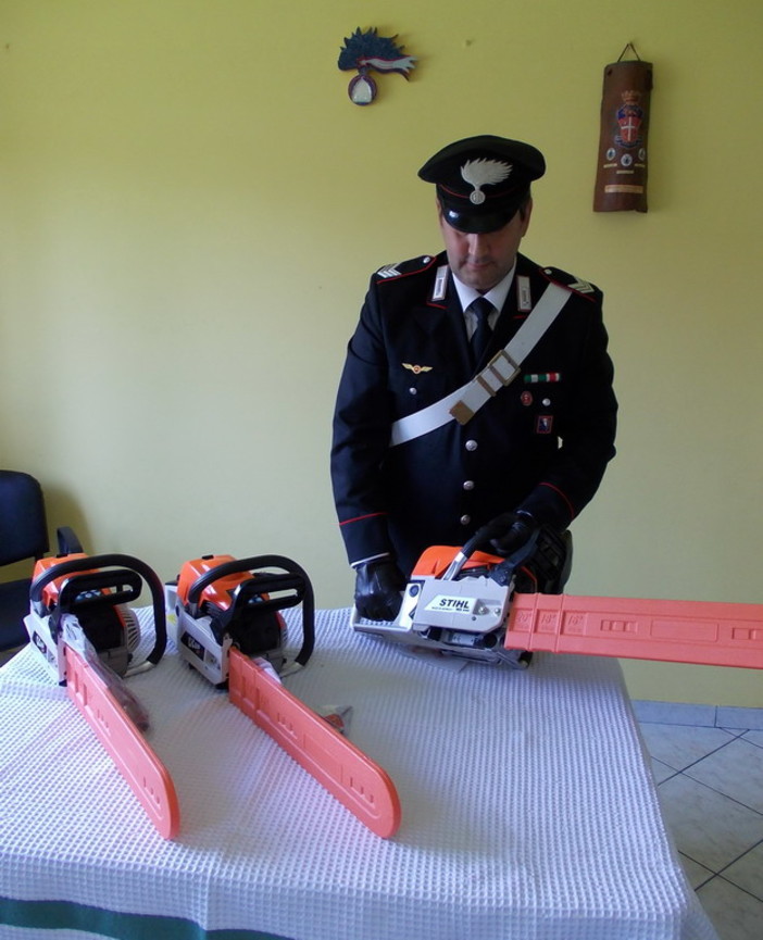 Le motoseghe sequestrate