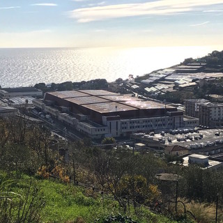 Sanremo: gestione del Mercato dei Fiori, rinnovato per 6 mesi l’accordo tra Comune e Amaie Energia in attesa del contratto decennale