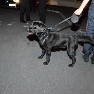 Ventimiglia: controlli antidroga questa mattina anche al Liceo Aprosio, nessuna sostanza trovata dai Carabinieri