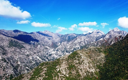 Colle Melosa e la diga di Tenarda senza telefono fisso da 10 giorni: il Sindaco di Pigna chiede un intervento