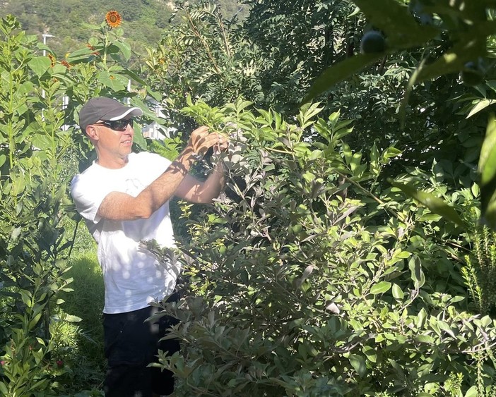 Marco Damele Marco Damele