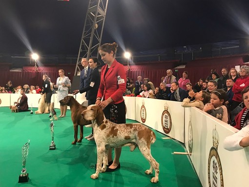 Mostra Internazionale Canina all' Espace Fontvieille di Monaco