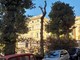 Sanremo: piante morte a Villa Magnolie, nuova denuncia ai Carabinieri "E' stata una capitozzatura" (Foto) Sanremo: piante morte a Villa Magnolie, nuova denuncia ai Carabinieri "E' stata una capitozzatura" (Foto)